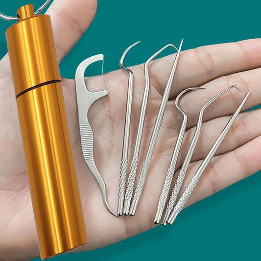1Set-Stainless Steel Toothpick Set Tooth Flossing Reusable Toothpicks Portable Toothpick Floss Teeth Cleaner Oral Cleaning